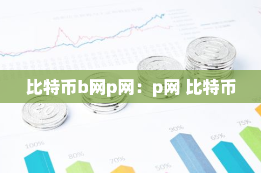 比特币b网p网：p网 比特币