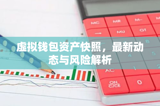 虚拟钱包资产快照，最新动态与风险解析