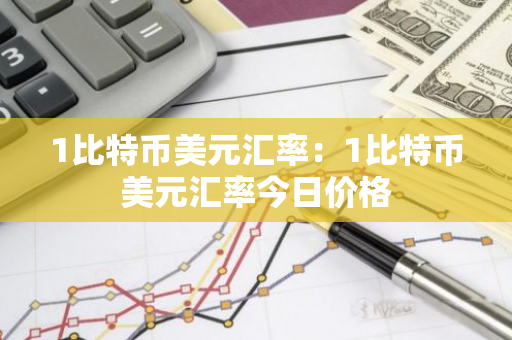 1比特币美元汇率：1比特币美元汇率今日价格