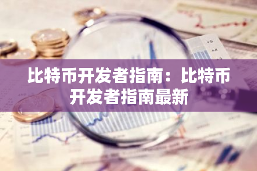 比特币开发者指南：比特币开发者指南最新