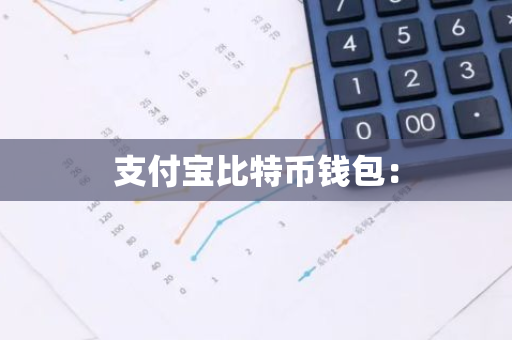 支付宝比特币钱包：-第1张图片-智财锋资讯网