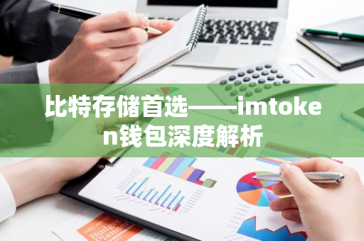 比特存储首选——imtoken钱包深度解析
