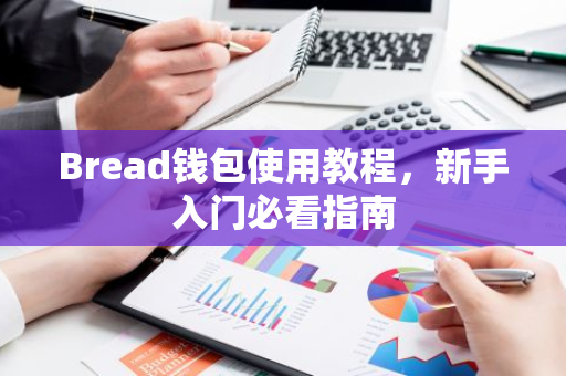Bread钱包使用教程，新手入门必看指南