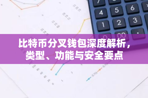 比特币分叉钱包深度解析，类型、功能与安全要点