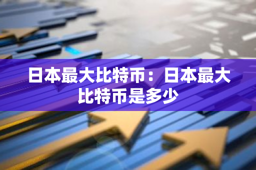 日本最大比特币：日本最大比特币是多少-第1张图片-智财锋资讯网