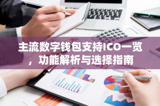 主流数字钱包支持ICO一览，功能解析与选择指南-第1张图片-智财锋资讯网