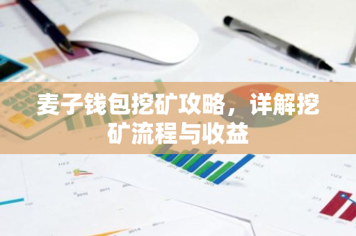 麦子钱包挖矿攻略，详解挖矿流程与收益-第1张图片-智财锋资讯网
