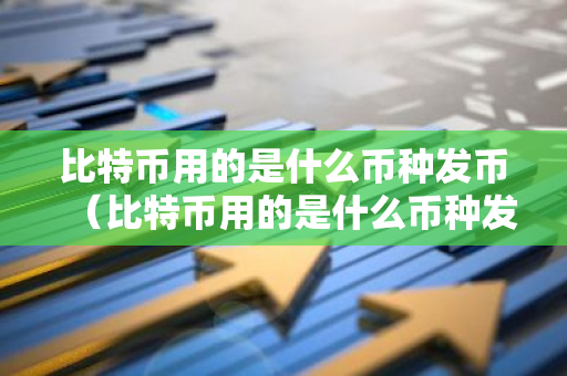 比特币用的是什么币种发币（比特币用的是什么币种发币的）