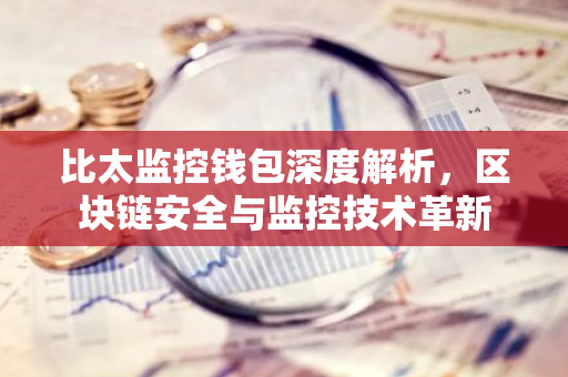 比太监控钱包深度解析，区块链安全与监控技术革新-第1张图片-智财锋资讯网
