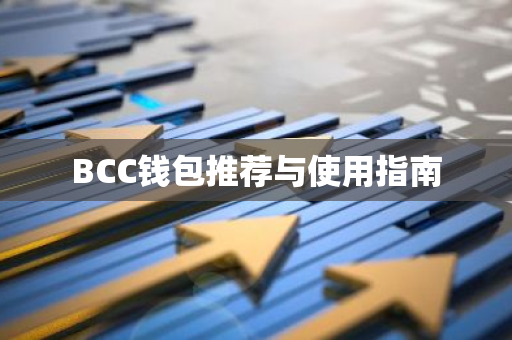 BCC钱包推荐与使用指南