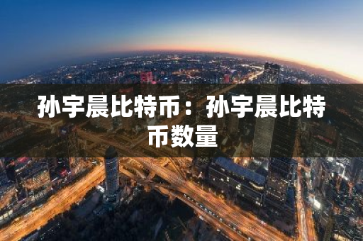 孙宇晨比特币：孙宇晨比特币数量