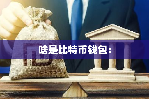 啥是比特币钱包：