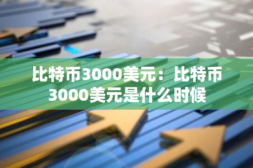 比特币3000美元：比特币3000美元是什么时候