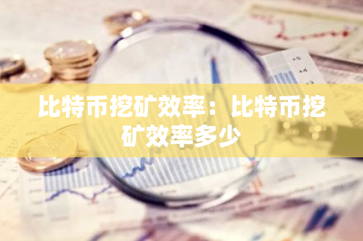 比特币挖矿效率：比特币挖矿效率多少-第1张图片-智财锋资讯网