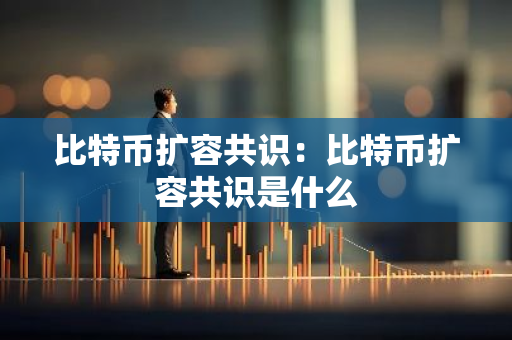 比特币扩容共识：比特币扩容共识是什么-第1张图片-智财锋资讯网