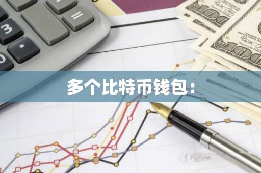 多个比特币钱包：