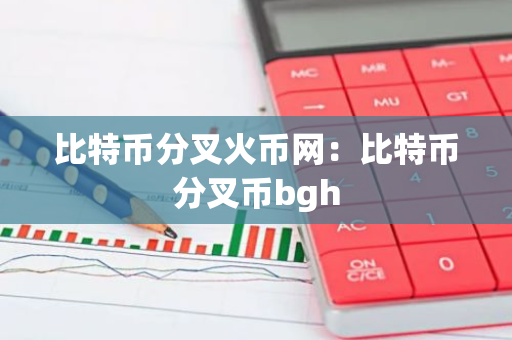 比特币分叉火币网：比特币分叉币bgh-第1张图片-智财锋资讯网
