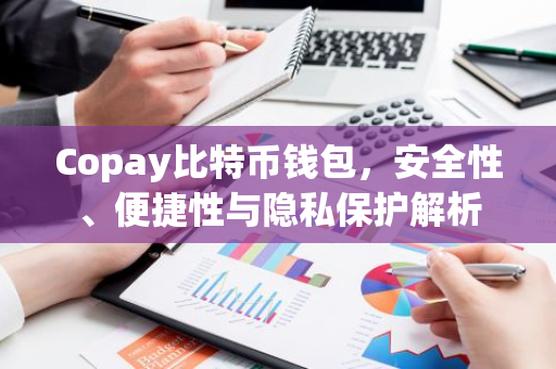 Copay比特币钱包，安全性、便捷性与隐私保护解析-第1张图片-智财锋资讯网