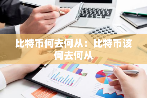 比特币何去何从：比特币该何去何从-第1张图片-智财锋资讯网