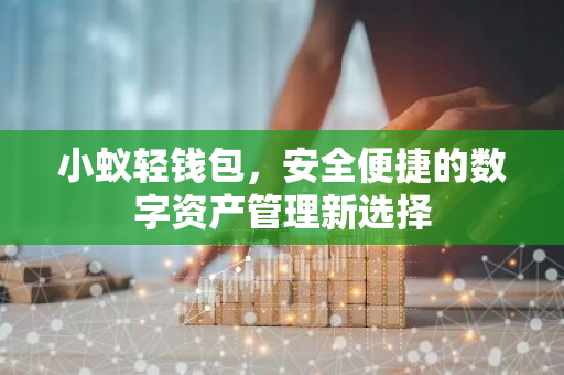 小蚁轻钱包，安全便捷的数字资产管理新选择-第1张图片-智财锋资讯网