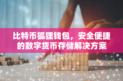 比特币狐狸钱包，安全便捷的数字货币存储解决方案-第1张图片-智财锋资讯网