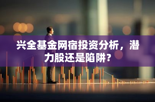 兴全基金网宿投资分析，潜力股还是陷阱？