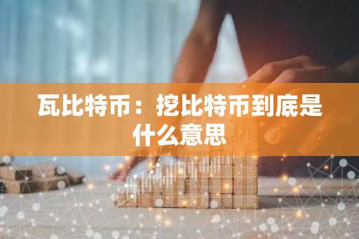 瓦比特币：挖比特币到底是什么意思