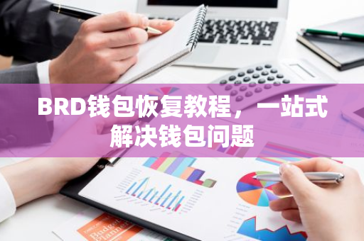 BRD钱包恢复教程，一站式解决钱包问题-第1张图片-智财锋资讯网