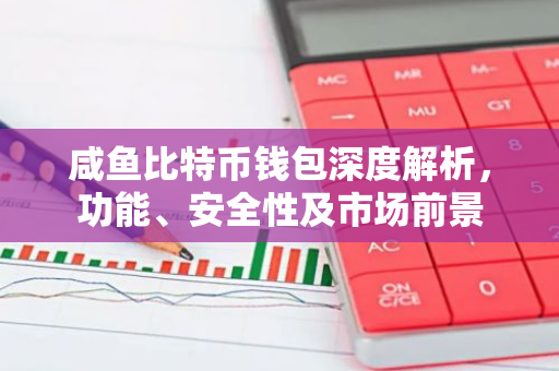 咸鱼比特币钱包深度解析，功能、安全性及市场前景