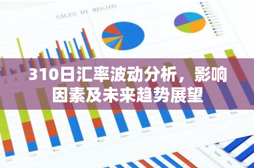 310日汇率波动分析，影响因素及未来趋势展望