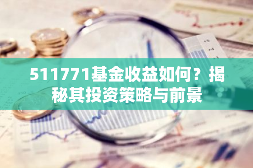 511771基金收益如何？揭秘其投资策略与前景