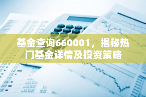 基金查询660001，揭秘热门基金详情及投资策略
