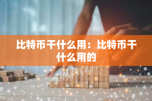 比特币干什么用：比特币干什么用的-第1张图片-智财锋资讯网