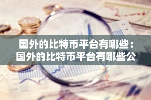 国外的比特币平台有哪些：国外的比特币平台有哪些公司