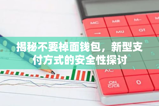 揭秘不要棹面钱包，新型支付方式的安全性探讨