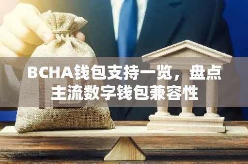 BCHA钱包支持一览，盘点主流数字钱包兼容性-第1张图片-智财锋资讯网