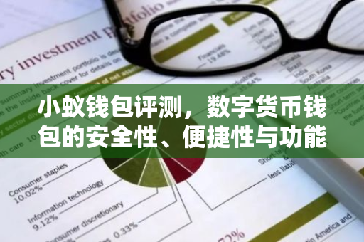 小蚁钱包评测，数字货币钱包的安全性、便捷性与功能解析