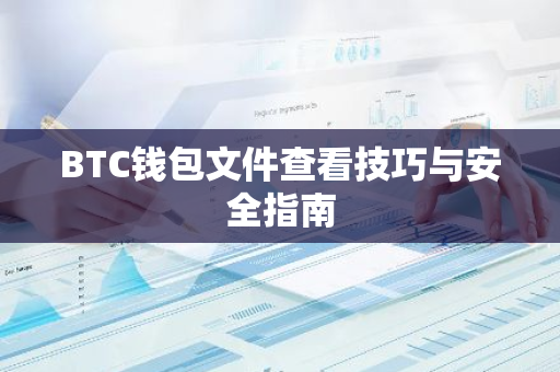 BTC钱包文件查看技巧与安全指南-第1张图片-智财锋资讯网