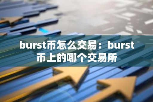 burst币怎么交易：burst币上的哪个交易所
