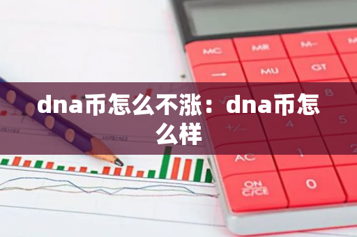 dna币怎么不涨：dna币怎么样