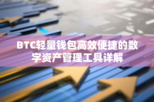 BTC轻量钱包高效便捷的数字资产管理工具详解