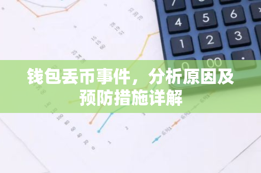 钱包丢币事件，分析原因及预防措施详解