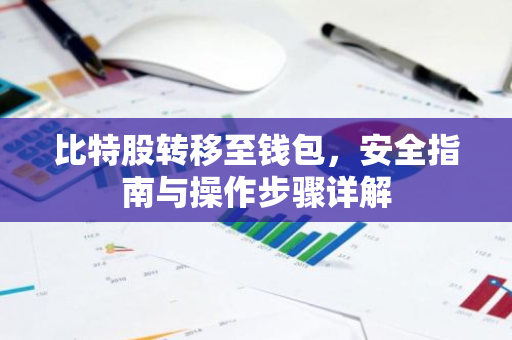 比特股转移至钱包，安全指南与操作步骤详解-第1张图片-智财锋资讯网