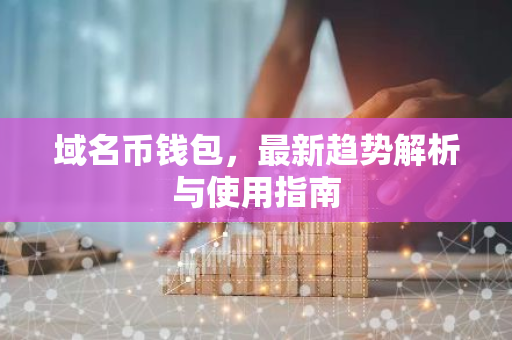 域名币钱包，最新趋势解析与使用指南