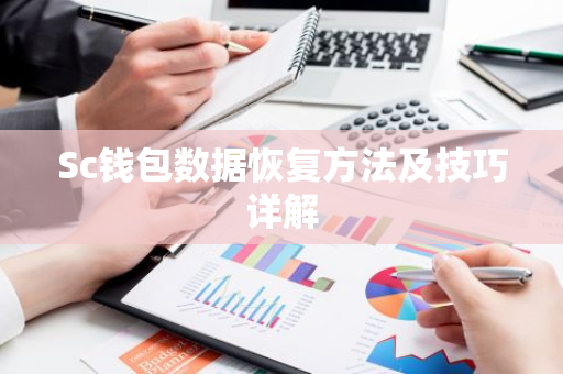 Sc钱包数据恢复方法及技巧详解-第1张图片-智财锋资讯网