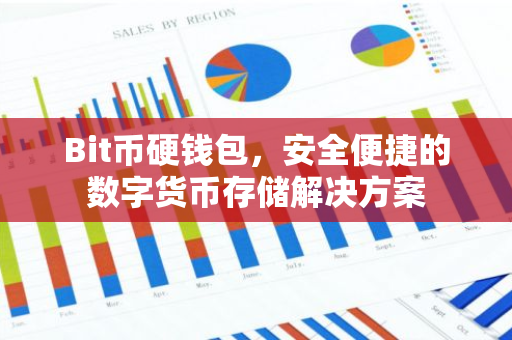 Bit币硬钱包，安全便捷的数字货币存储解决方案