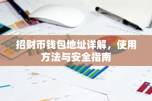 招财币钱包地址详解，使用方法与安全指南