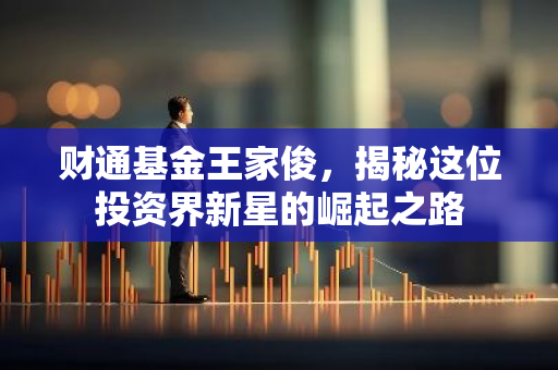 财通基金王家俊，揭秘这位投资界新星的崛起之路