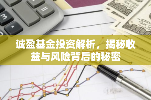 诚盈基金投资解析，揭秘收益与风险背后的秘密