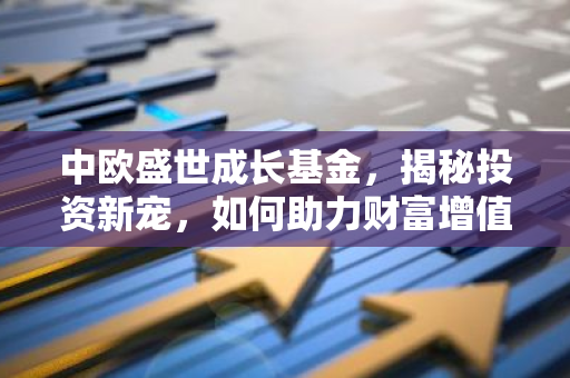 中欧盛世成长基金，揭秘投资新宠，如何助力财富增值？